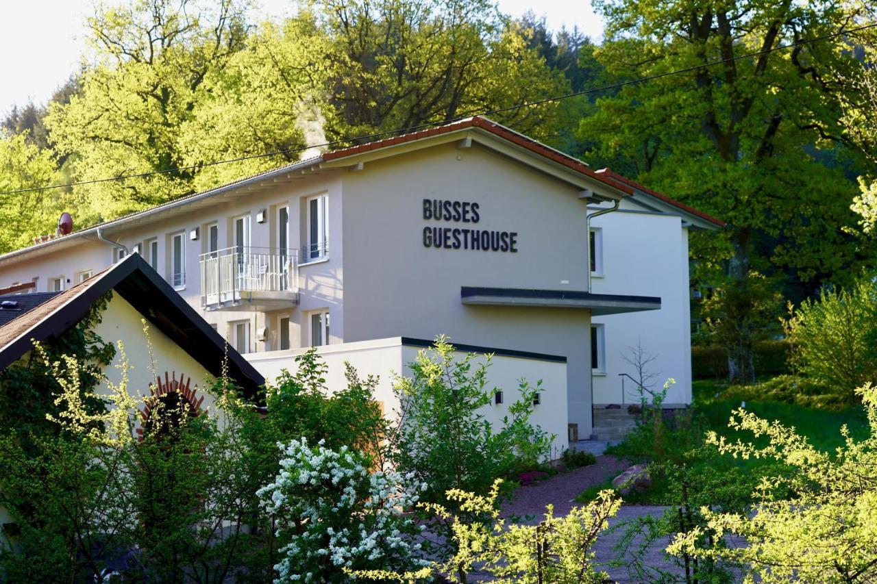 Busses Guesthouse Фрайбург-у-Брайсгау Екстер'єр фото